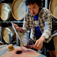 Amici Cellars Employee Ethan Liu's profile photo