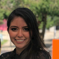 Laura Sanjuanelo Meriño Email & Phone Number