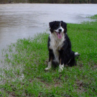 Rugged Controls Employee Matthew Netting's profile photo