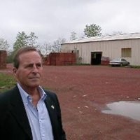 Helmut Lauff