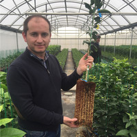 Caliplant Agro Employee Juan Luis Jimenez's profile photo