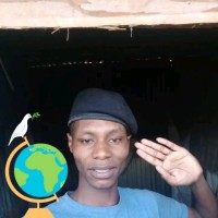 Dive Technologies Employee Kenneth Gichunge's profile photo
