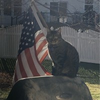 Pegasus Support Services, LLC Employee Robert Huffman's profile photo