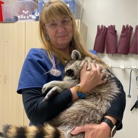 Vetco Total Care Employee Cindy Marcum's profile photo