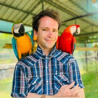 Amateri.com Employee David Paleček's profile photo