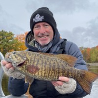 Phil Sutter Email & Phone Number