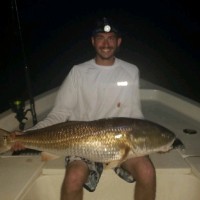 Elevated Staffing Support LLC Employee Joshua Beddiges's profile photo