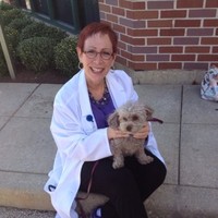 Beth Ginsburg Email & Phone Number