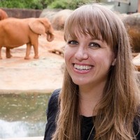 Harmonic Design Employee Becky Scheel's profile photo