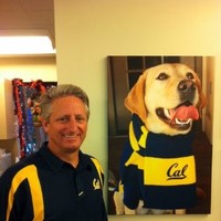 Tim Auger Email & Phone Number