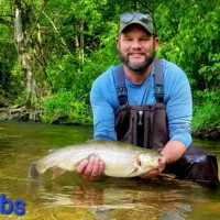 John Wienstroer Email & Phone Number