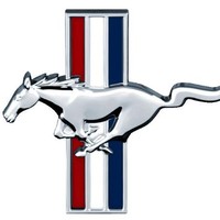 Anchor Network Solutions, Inc. Employee Shawn Reinert's profile photo