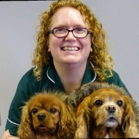 VetSkill Employee Victoria Dip.he's profile photo