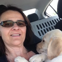 SRC Digital Insurance Services Employee Stacy Clinton's profile photo