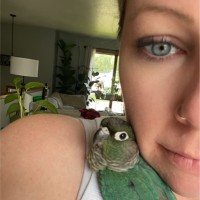 Search Optimizers Employee Andrea McHale's profile photo