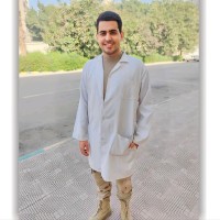 Mina Emad Email