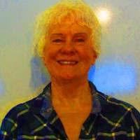 Wilson & Wilson CPAs, Inc. Employee Robin Harlow's profile photo