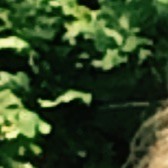 Bio Armor Employee Gwennael Tano's profile photo