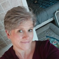 Palmetto Engineering & Consulting Employee Meredith Box's profile photo