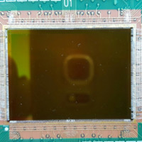 Amanda Krieger Email & Phone Number