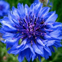 MATRIX TELEMATICS LIMITED Employee Ryan Whitaker's profile photo