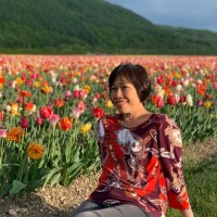 Lo Hock Ling & Co Employee Wei Lo's profile photo