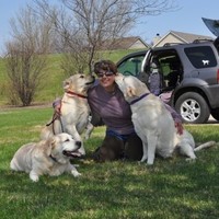 Bulldog Cartage, LLC Employee Donna Eichman's profile photo