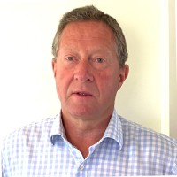 Saltus Private Wealth Management Employee Nick Harley's profile photo