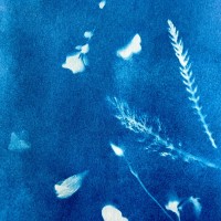 Freelance Graphic Designer | Art Director Employee Allison Deyoung's profile photo