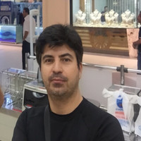 Mahmut Baran Email