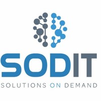 Big Solutions Employee Sodit Demand's profile photo