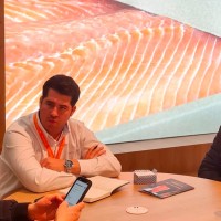 Aquachile Inc Employee Sami Springer's profile photo