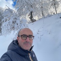 Docendum Employee Daniele Angeloni's profile photo