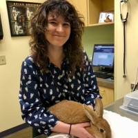2nd Street Animal Hospital Employee Victoria Bender's profile photo