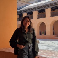 The Store Intelligence Employee Ana Karina de la O Martinez's profile photo