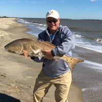 Rob Britton Email & Phone Number