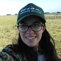 Arvut Employee Jéssica Bandeira Pereira's profile photo