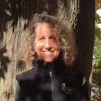 Melissa Lukin Email & Phone Number
