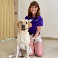 Dogs Inc Employee Jen Noble's profile photo