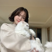SOCAR(쏘카) Employee Hyun Kim's profile photo