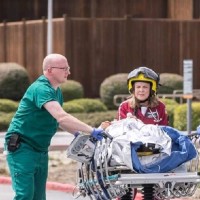 Mark Grennell Email & Phone Number