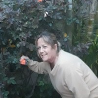Elizabeth Borgen Email & Phone Number