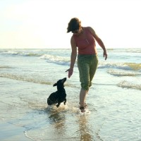 Dyade Employee Annemieke Vestdijk's profile photo