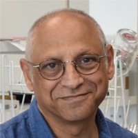 Université Paris-Saclay Employee Elias Fattal's profile photo