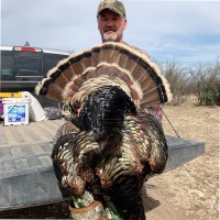Tim Capps Email & Phone Number