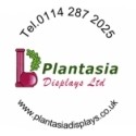 Plantasia Displays Ltd Employee David Gath's profile photo