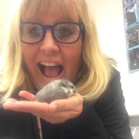 Moravian Academy Employee Wendy Sheetz's profile photo