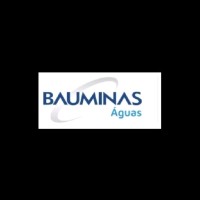 Grupo BAUMINAS Employee Nilson Salvador's profile photo