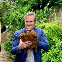 Turtle Survival Alliance Employee Marc Dupuis-Desormeaux's profile photo