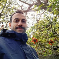 Praxis Computing, Inc. Employee Mojtaba Salehi's profile photo